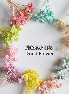 巴西小山花干花包戒指手工花材料