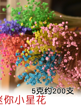 巴西进口星菊干花迷你小星花花束