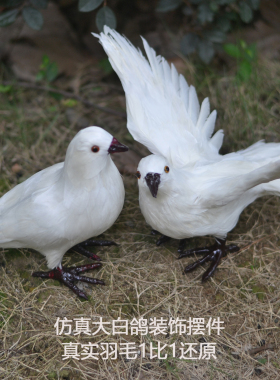 高仿真和平鸽信鸽白鸽婚庆商场创意装饰鸽子模型真实羽毛制作展翅