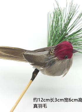 真实羽毛装饰田园风桌面仿真麻雀