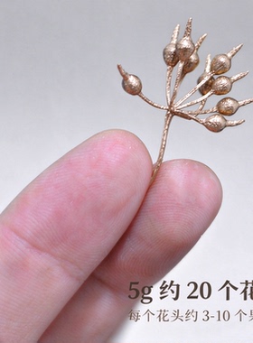 铁皮石斛花干花养生茶