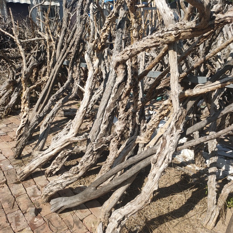 风化木枯木老木料爬宠造景木热带鬃狮蜥蜴守宫睫角蛇攀爬造型树桩 - 图3