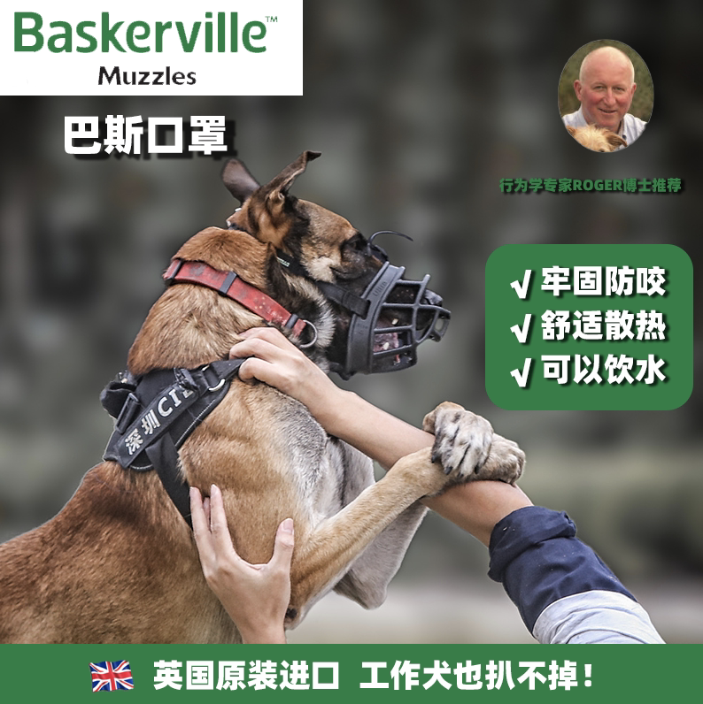 犬口笼 新人首单立减十元 21年10月 淘宝海外