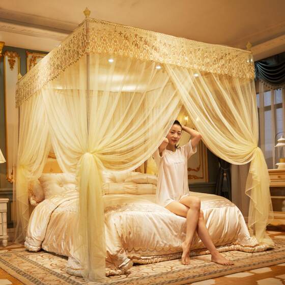 Bold encrypted bracket mosquito net three-door palace