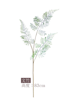 chechel仿真蕨类植物龟背叶文竹黑骨芒棕榈叶民宿家居装饰叶材