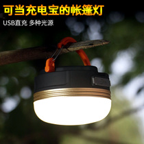 Outdoor Camping Light Lighting Camp Decoration Tent Camping Sky Atmosphere Carry-on small horse light extra-long renewal Hanging