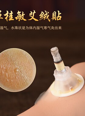 单桂敏艾灸贴纯艾绒精准对穴防烫