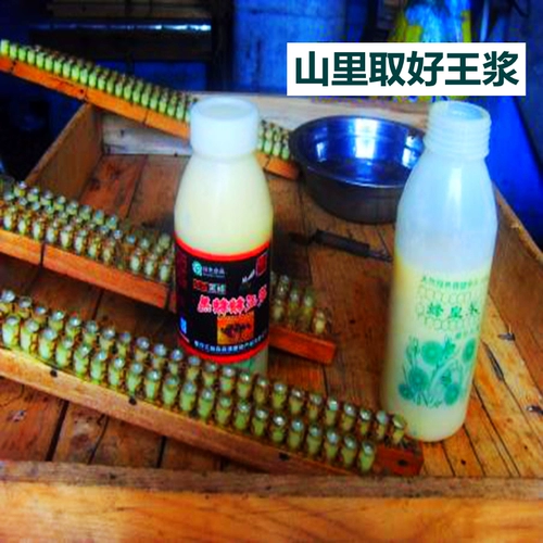 Лесная королевская пульпа медовая черная пчела Королевская желе, медовая свежая пчела королевская пульпа, чистого натурального фермы добывает 2 фунта