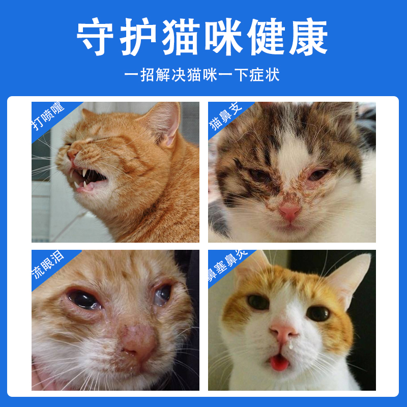 猫鼻支滴眼液疱疹病毒滴鼻液感冒结膜炎打喷嚏眼药水猫支鼻治疗药 - 图0