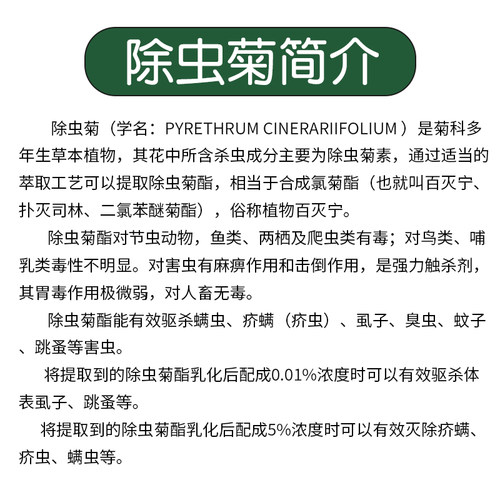 灭阴虱除头虱体虱子用的药原0.01%二氯苯醚菊脂酯溶液（共发2瓶） - 图2