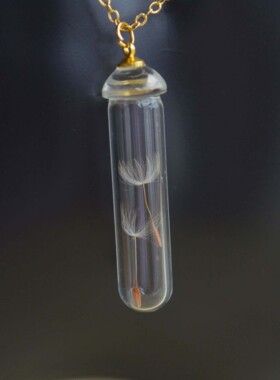 原创蒲公英玻璃瓶镀金项链