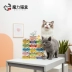 Magic Cat Box Italy Schesir Snow Shiya Rainbow Cat Đồ ăn nhẹ Đồ ăn ướt 70g Đa hương vị - Đồ ăn nhẹ cho mèo