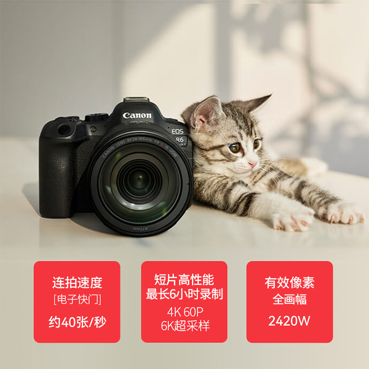 【全新国行】Canon/佳能R6一代 Mark II全画幅专业微单相机R62 官 - 图1