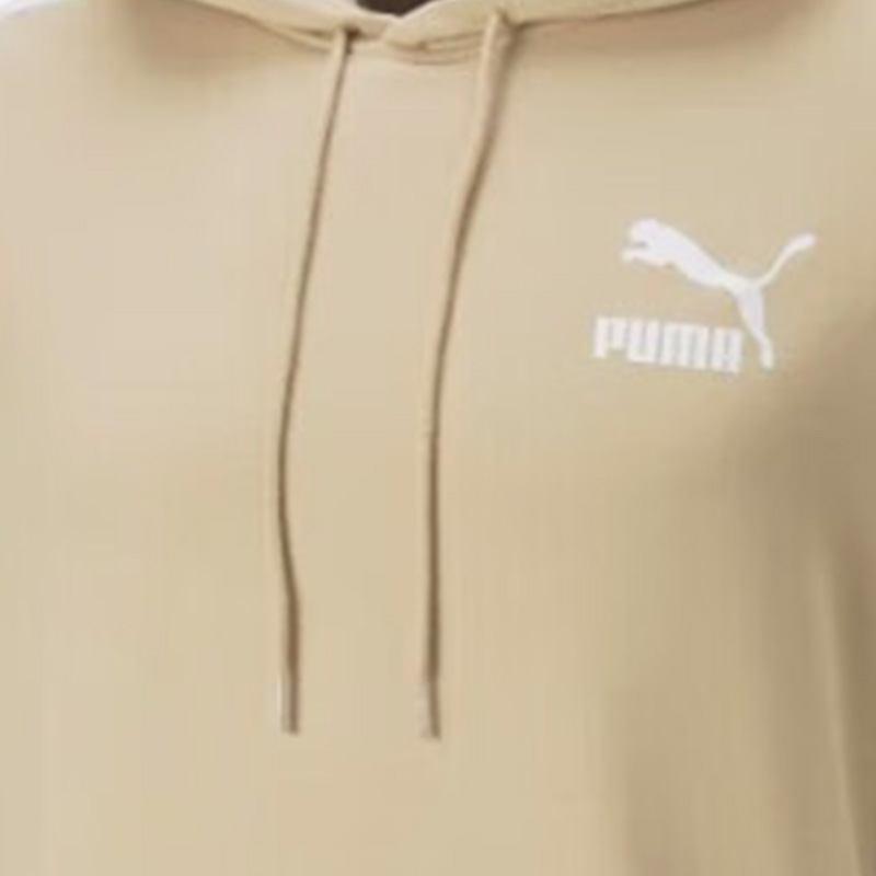 Puma/彪马正品秋季经典拼色连帽休闲男女运动卫衣531354-67-图1