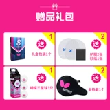 Профессиональная поролоновая высокая ракетка с бабочкой для настольного тенниса