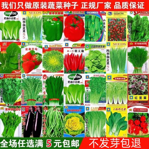 蔬菜种子四季播盆栽阳台庭院香菜菠菜白菜萝卜简单春易种籽孑大全-图1