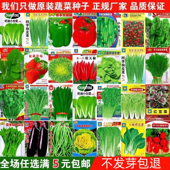 Autumn sowing easy fruit and vegetable seeds for balcony courtyard