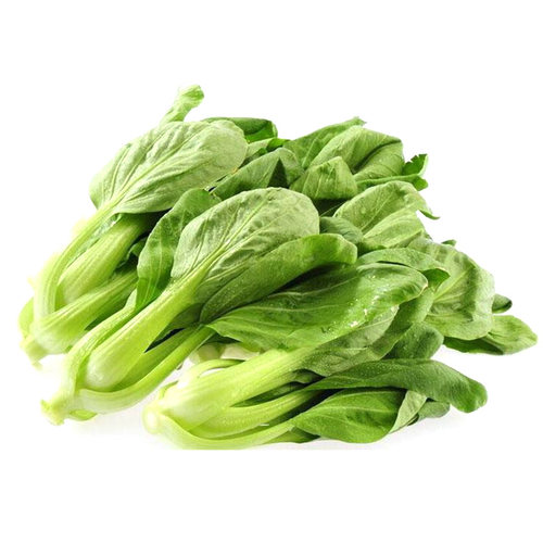 四季播苏州青蔬菜种子上海青油菜籽四季阳台盆栽叶菜小青菜种子 - 图3