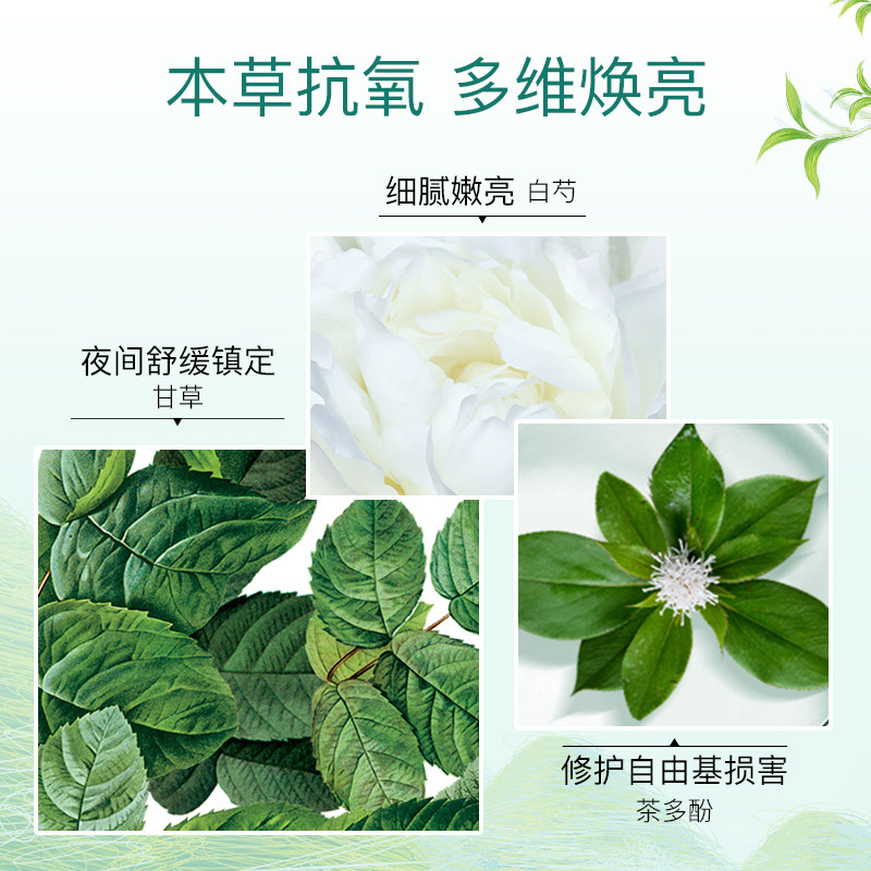 佰草集白茶玲珑睡眠涂抹式官方面膜 佰草集涂抹面膜