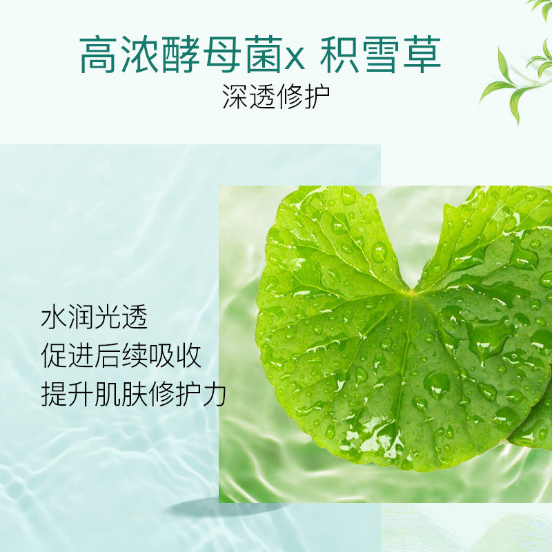 佰草集白茶打底精华多酚阿魏酸原液 佰草集液态精华