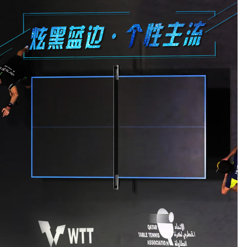 双鱼233WTT乒乓球台家用可折叠移动黑色25MM乒乓球桌室内标准比赛-图2