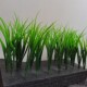 Agricultural Games dance props fake wheat seedlings green plants simulated straw fake wheat seedlings straw competition green seedlings
