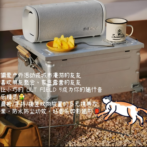 Sony/索尼 ULT FIELD 5 FIELD 3 蓝牙无线音箱便携广场舞音响防水 - 图2