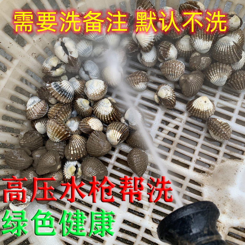 三门新鲜血蛤 银蚶血蚶贝类海鲜鲜活水产品温州花蛤2斤装顺丰包邮 - 图0