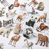 Cute little animal photo graffiti sticker DIY diary