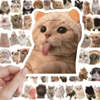 60 pieces of ins style cute cat and puppy stickers, animal phone cases, laptop suitcases, handbag decorations