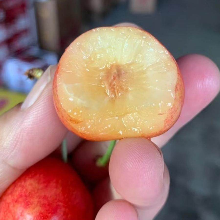 新鲜水果智利雷尼尔黄金车厘子黄樱桃2斤礼盒装4JJJ大果 顺丰包邮,淘宝优惠券,粉丝福利购,淘宝优惠卷