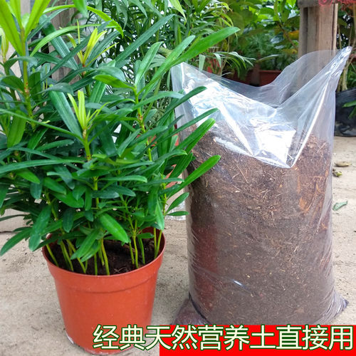 松针腐殖土酸性肥料杜鹃花山茶栀子花君子兰蓝莓等花卉天然营养土 - 图1
