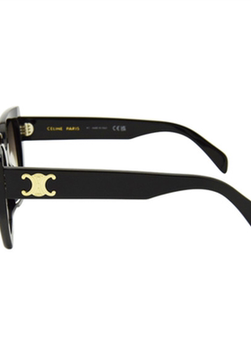 CELINE 2025潮流新款显瘦大框太阳镜遮阳墨镜银泰百货 300211