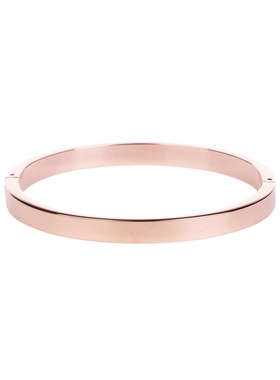 SWAROVSKI 施华洛世奇低调奢华简约款手镯手链银泰百货精品301365