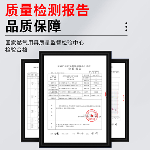 长青创尔特新国标JYT-0.6L家用液化气稳减压阀煤气罐石油气调压器 - 图2