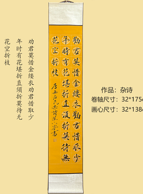 书房创意装饰画手写毛笔书法宣纸定风波惜时气派长卷轴