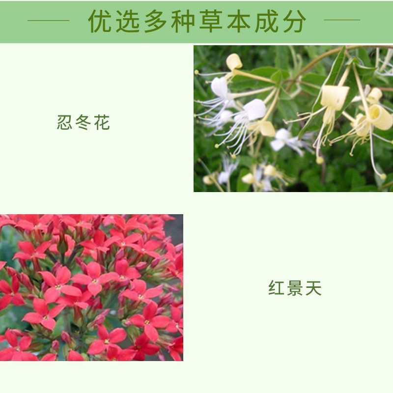 百雀羚水能量焕颜凝乳红景天乳液 百雀羚乳液/面霜