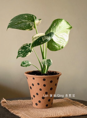 景德镇波点粗陶花盆透气陶土绿植