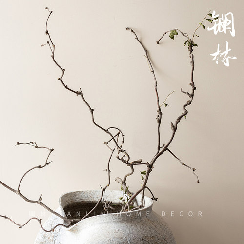 禅意侘寂干花天然干树枝装饰风干弯曲龙爪插花造景枯枝仿真龙枣枝 - 图0