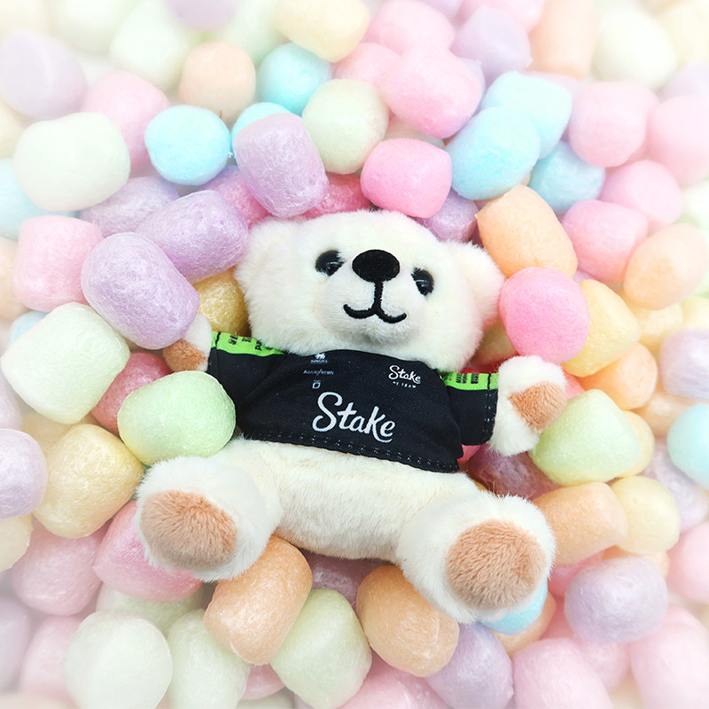 F1赛车模型索伯Sauber周冠宇2024中国站C44毛绒熊钥匙圈扣挂件,淘宝优惠券,粉丝福利购,淘宝优惠卷