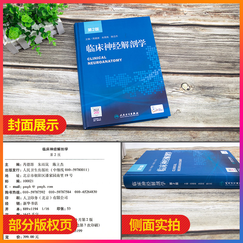 正版临床神经解剖学版芮德源,朱雨岚,陈立杰书医学基础医学解剖学-图0