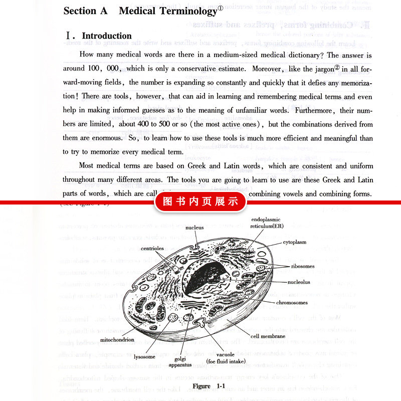 医学专业英语 阅读一分册 第2二版+医学专业英语 阅读二分册 两本套装 全国高等学校教材 教材 研究生本科专科教材公共课