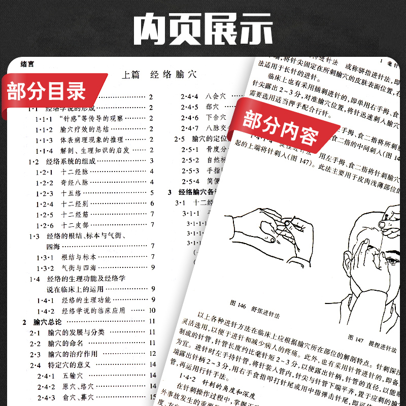 正版 第五5版中医教材 全套26本 中医基础理论中医方剂中医诊断中医经络内外妇儿针灸推拿经络腧穴内经伤寒温病金匮要略讲义中药学