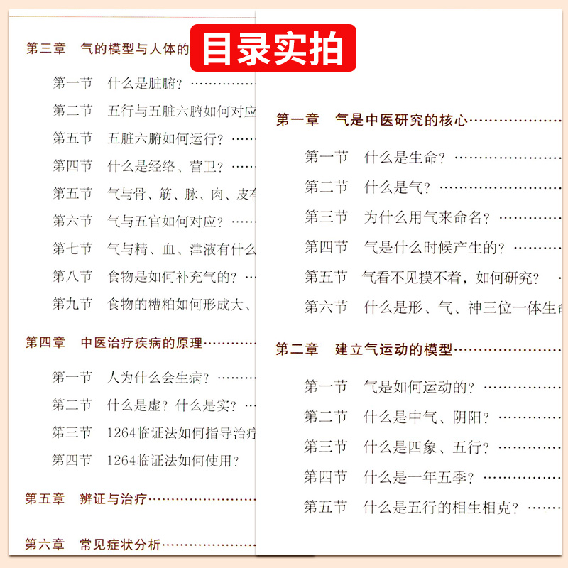 1264临证法中医临床基本功 五脏六腑如何运行 气的模型与人体的对应关系 气不足则为虚气郁阻则为实 安天宇 辽宁科学技术出版社