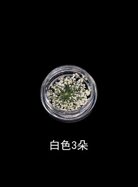 日系美甲干花饰品真花满天星