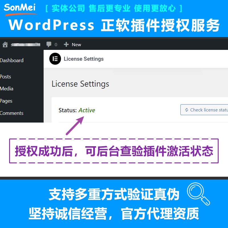 Elementor Pro官方正版Key授权在线更新WordPress模板编辑器插件 - 图1