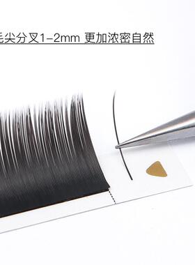 嫁接睫毛空气扁毛加粗加密婴儿双毛尖风吹动嫁接睫毛仿真睫毛