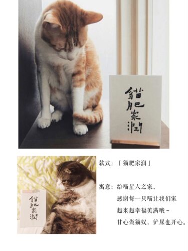 台湾何景窗书法明信片细细刷牙晚安梦到我猫肥家润文艺手写卡片 - 图2