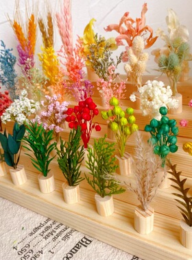手工diy迷你小干花永生花