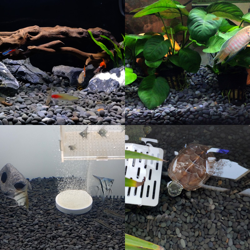 天然铁胆沙黑工砂水族鱼缸底沙装饰造景水草砂乌龟用石头石子包邮-图0